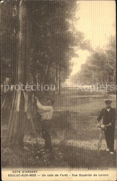 Soulac-sur-Mer Un coin de Foret Rue Duperier de Larsan