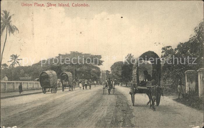 Colombo Ceylon Sri Lanka Union Place Slave Island Ochsenkarren