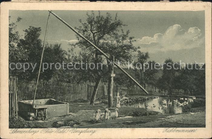 Schwarzburg Thueringer Wald Ziehbrunnen