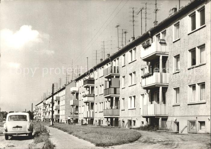 Altenplathow Genthin Hasenholzdrift