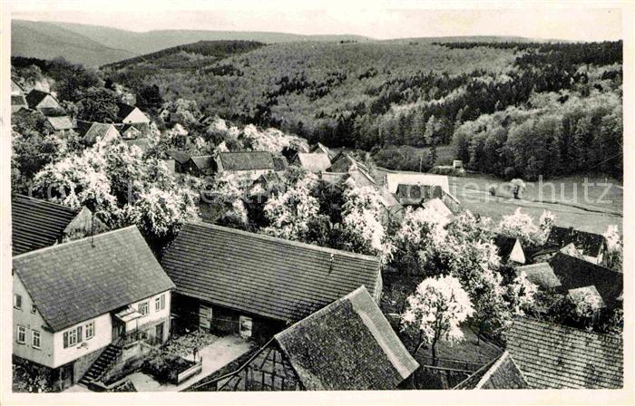 Vielbrunn Fliegeraufnahme