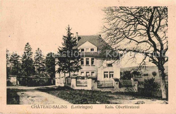 Chateau-Salins Kais Oberfoersterei