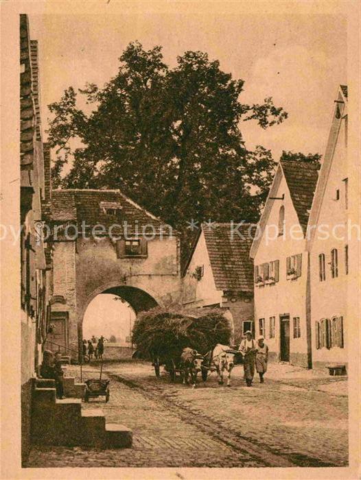 Gotha Thueringen Dorfpartie Heuwagen Ochsengespann