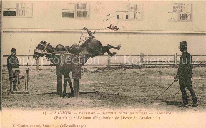 Saumur Dressage Sauteur dans les Piliers Group