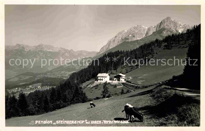 Pfarrwerfen Pension Steinberghof