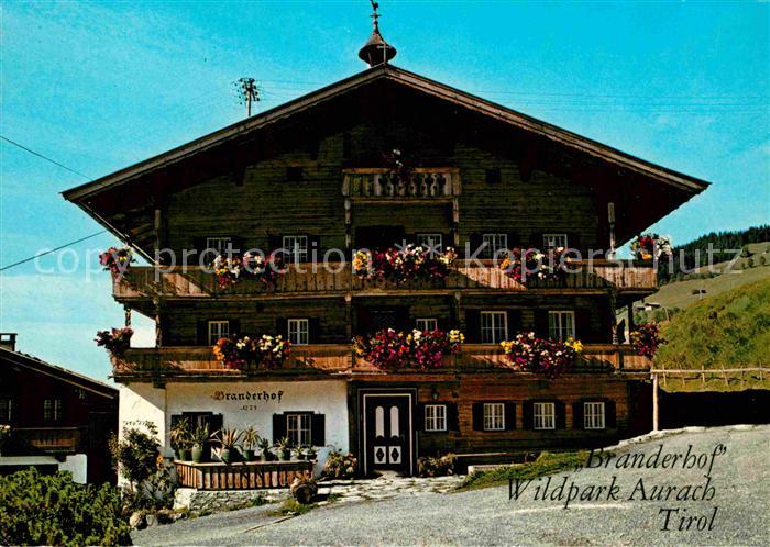 Kitzbuehel Tirol Wildpark Aurach Branderhof