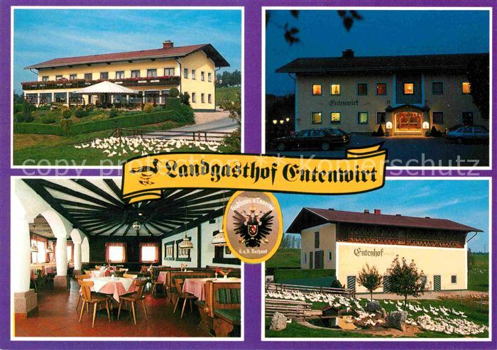 Tarsdorf Landgasthof Entenwirt Restaurant Entenschar