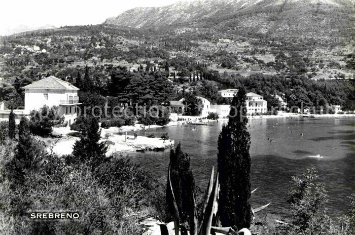 Srebreno Panorama