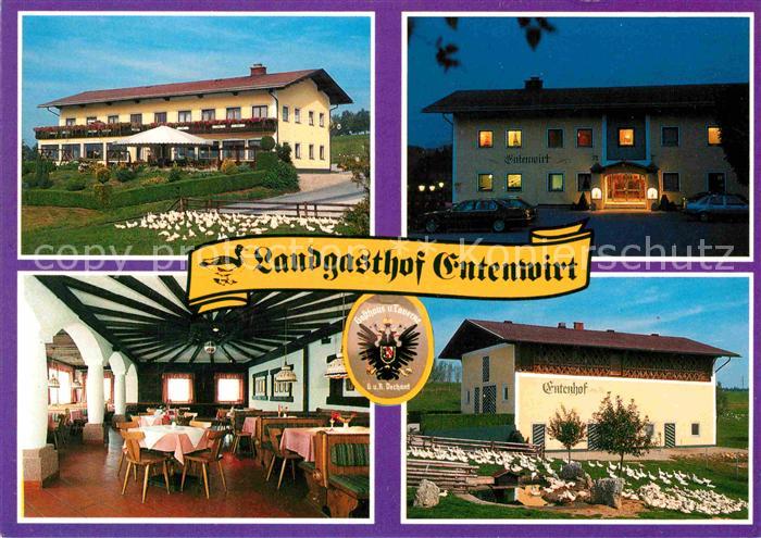 Tarsdorf Landgasthof Entenwirt Gastraum Entensch