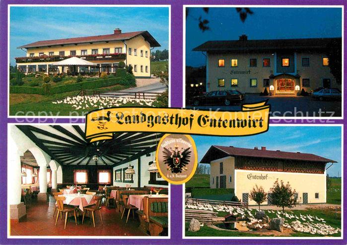 Tarsdorf Landgasthof Entenwirt Gastraum Entenschar