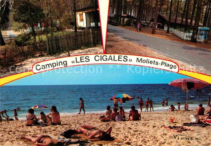 Moliets Plage Camping Les Cigales