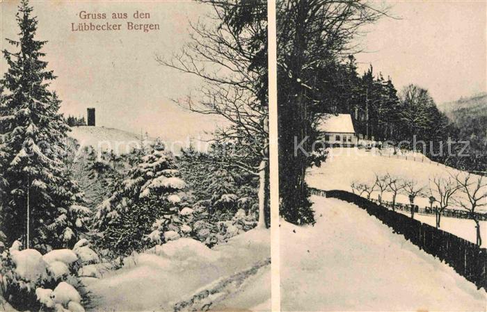 Luebbecke Westfalen Panorama