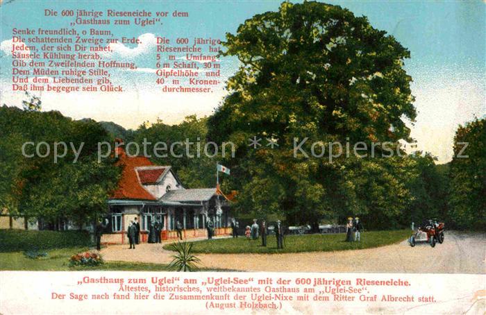 Eutin Gasthaus zum Uglei mit 600jaehriger Rieseneiche