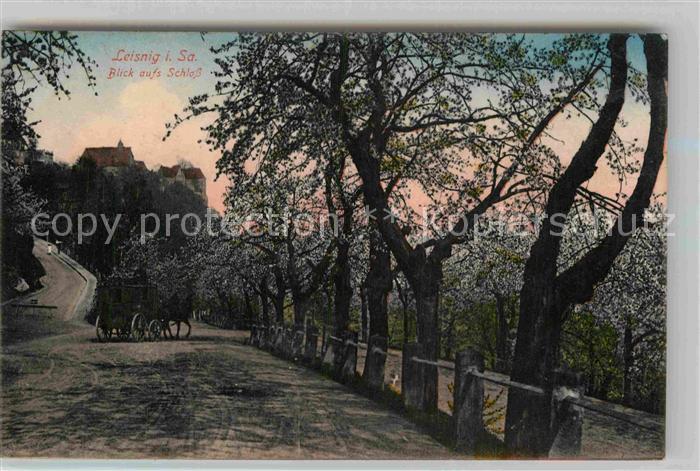 Leisnig Schlossblick Pferdekutsche