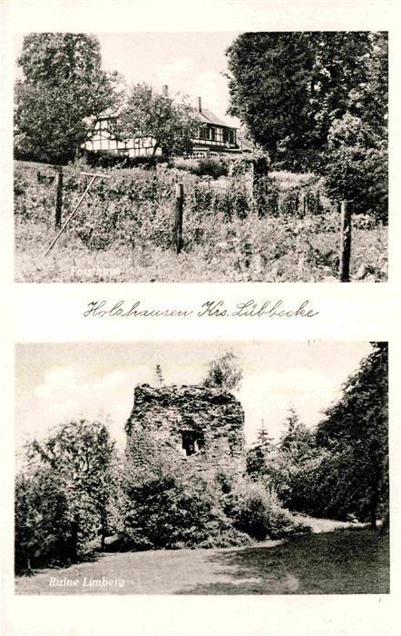 Holzhausen Luebbecke Forsthaus Ruine Limberg