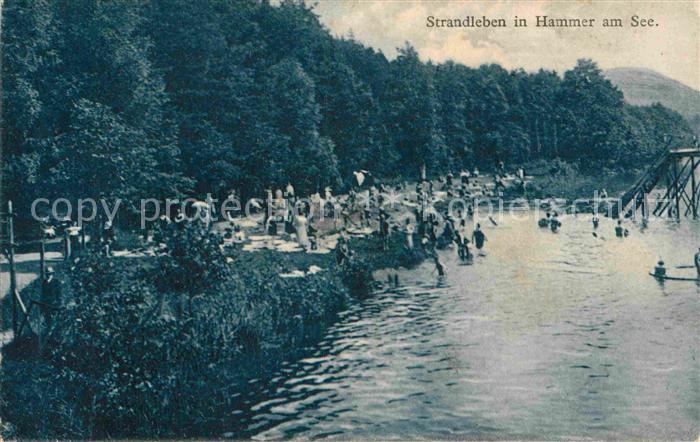 Hammer See Strandleben