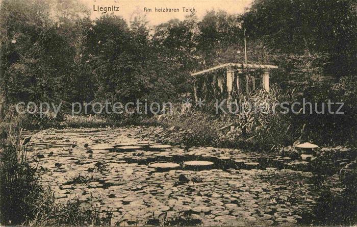 Liegnitz Legnica Teich