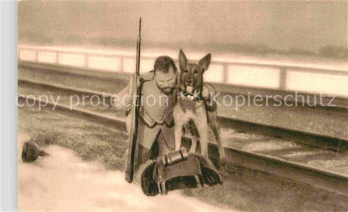 Militaria WK1 Deutscher Schaeferhund Rotes Kreuz Sanitaet Kriegsverwundeter