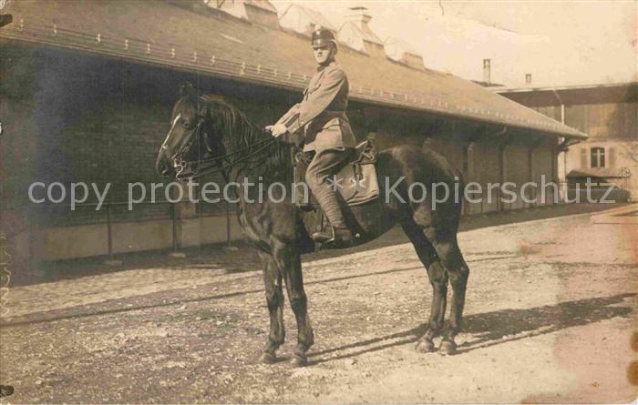 Militaria Schweiz Kavalerie Pferd Soldat