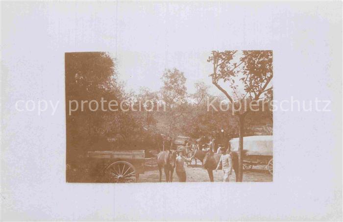 Militaria WK1 Pferdegespann