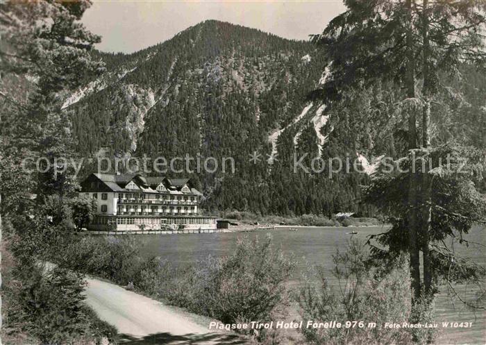 Plansee Hotel Forelle Foto-Risch-Lau- Nr. W 10431
