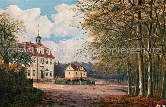 Verlag Wiedemann WIRO Nr. 3602 A Hotel Hohe Sonne Eisenach