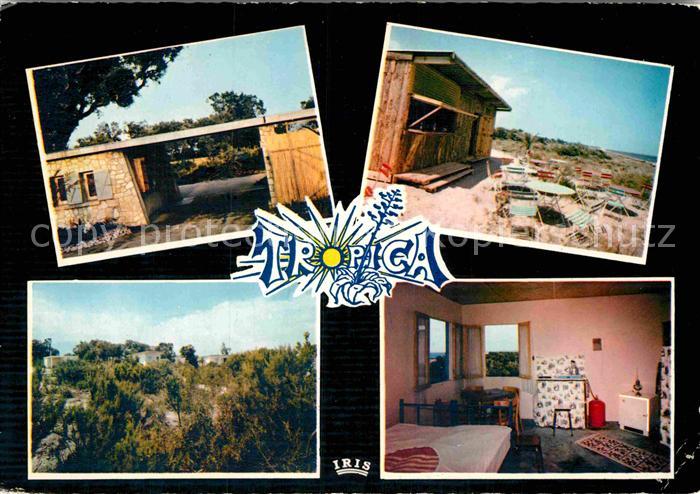 Linguizzetta Tropica par Chiatra