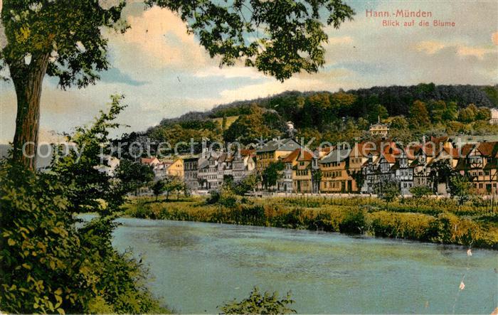 Hann. Muenden Blick auf die Blume