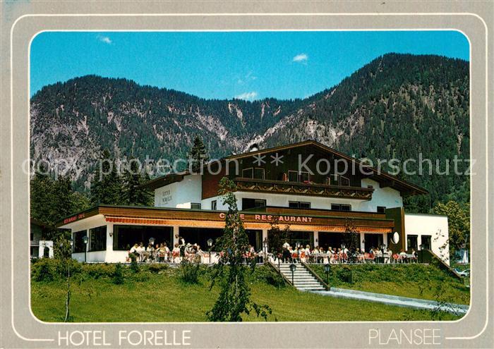 Plansee Hotel Forelle