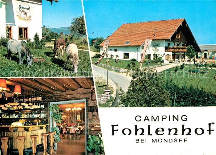Mondsee Salzkammergut Camping Fohlenhof