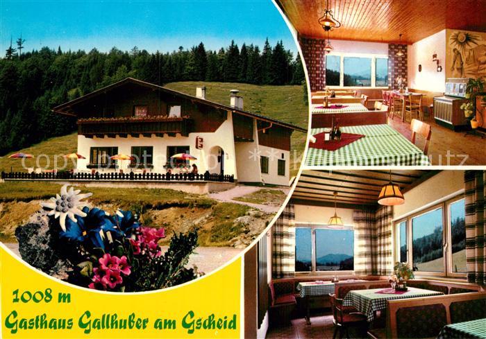 Kernhof Niederoesterreich Gasthaus Gallhuber am Gscheid