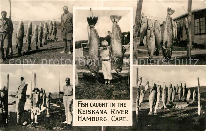 Cape Agulhas Fish Caught in the Keiskama River Hamburg