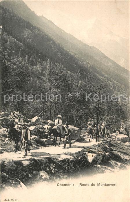 Chamonix Route du Montanvert