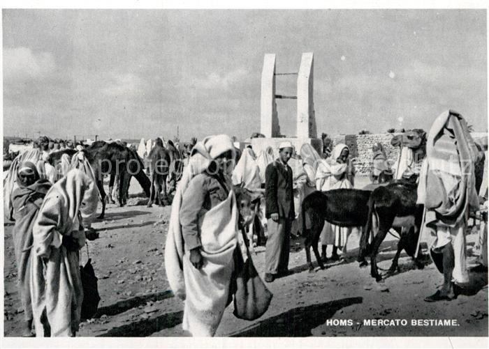 Homs Mercato Bestiame