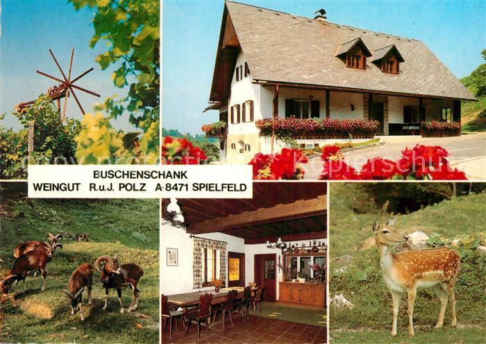 Spielfeld Weingut Buschenschank