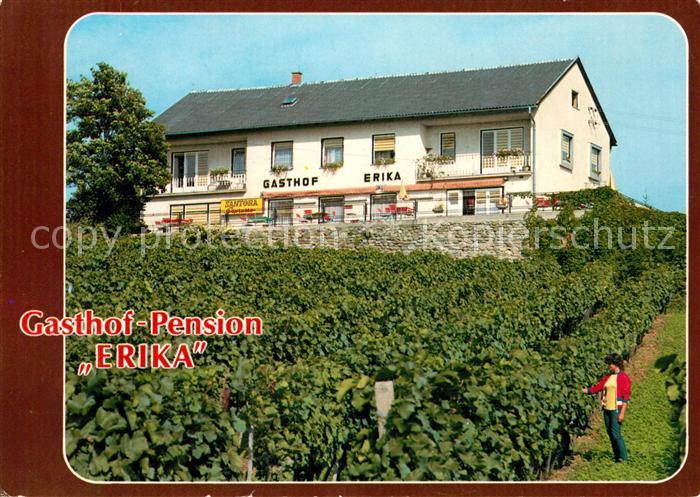 Eisenberg Burgenland Gasthof Pension Erika