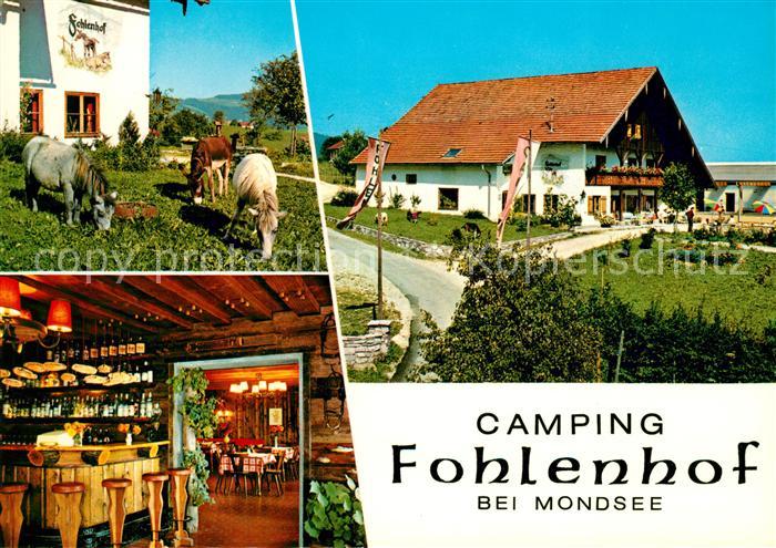 Mondsee Salzkammergut Camping Fohlenhof Restaurant Bar Ponnys