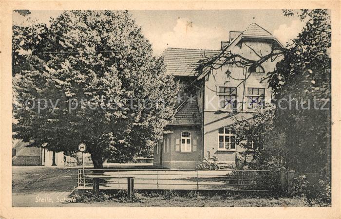 Stelle Schule