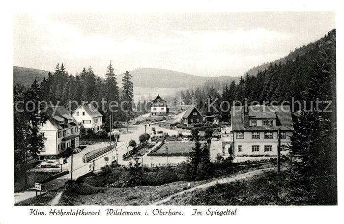 Wildemann Spiegeltal