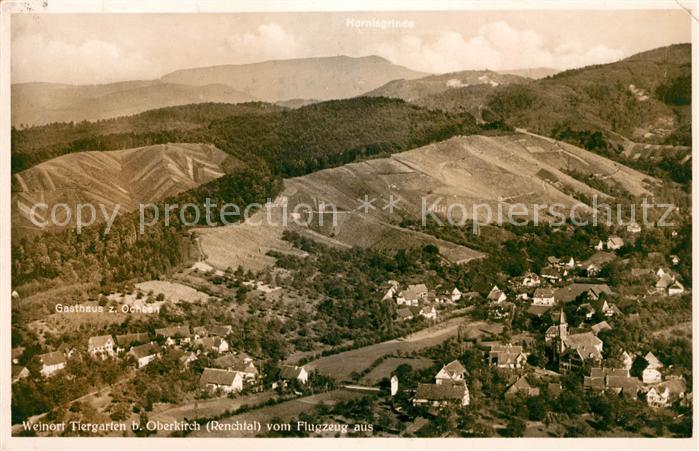 Tiergarten Ortenau Fliegeraufnahme Hornisgrinde