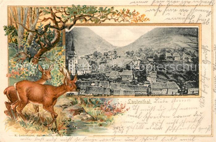 Lautenthal Harz Panorama Kirche