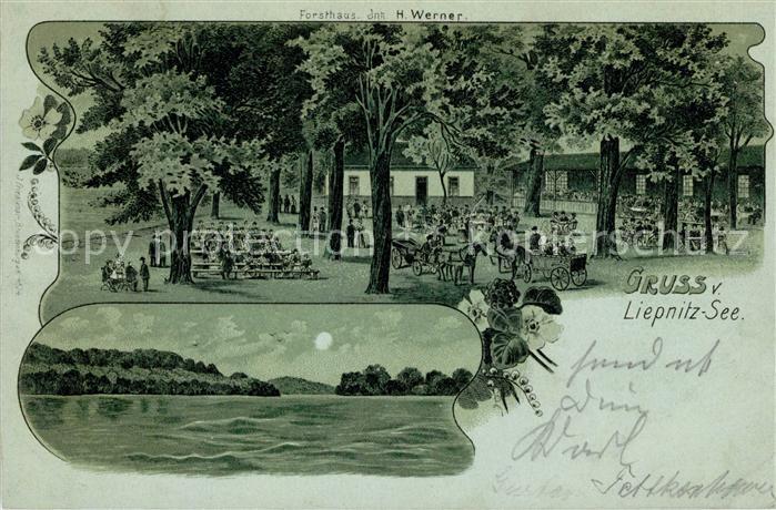 Liepnitzsee Mondschein Panorama See