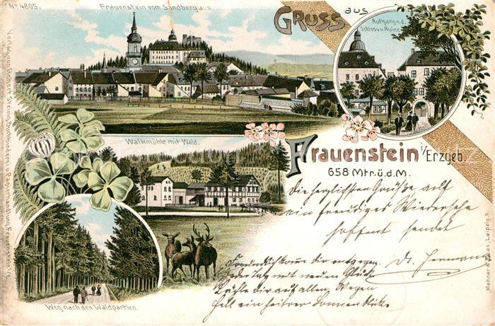 Frauenstein Sachsen Panorama Walkmuehle