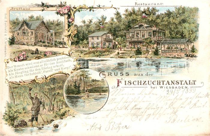 Wiesbaden Fischzuchtanstalt Restaurant Bruthaus