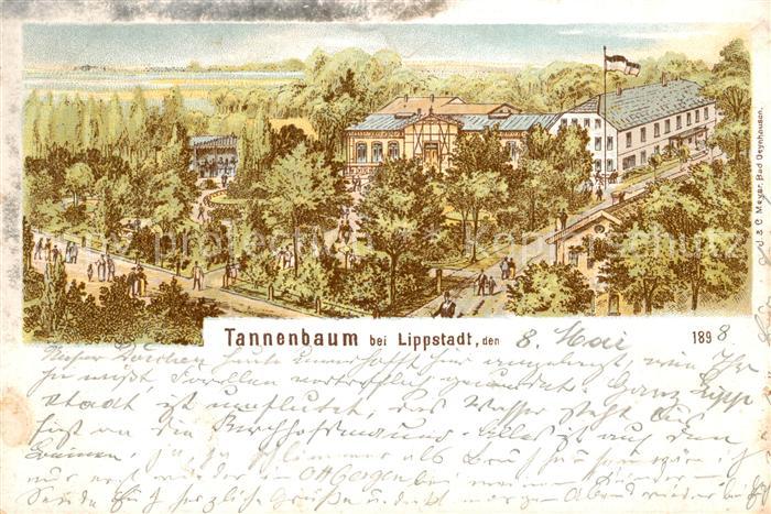 Lippstadt Tannenbaum