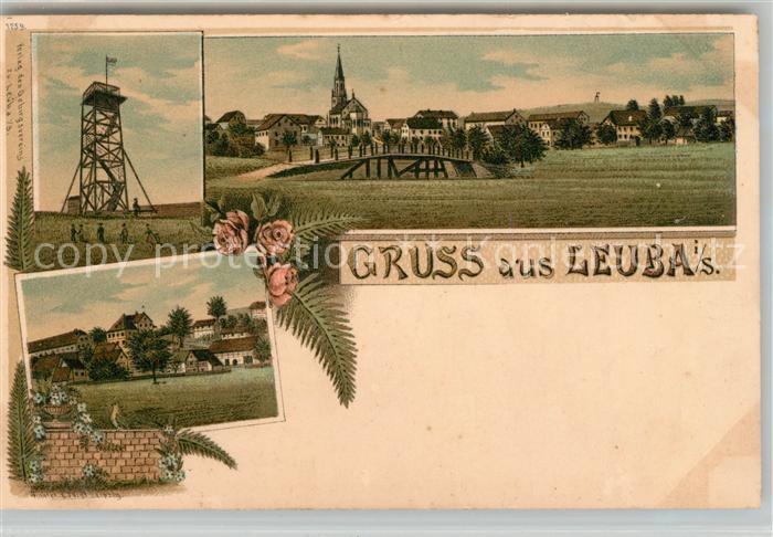 Ostritz Leuba Aussichtsturm Panorama