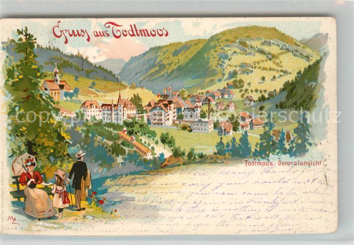 Todtmoos Panorama Kuenstlerkarte