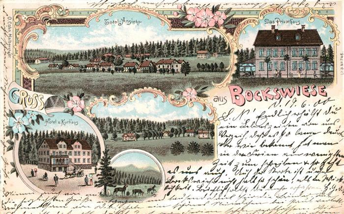 Bockswiese-Hahnenklee Harz Hotel-Kurhaus Privathaus Litho