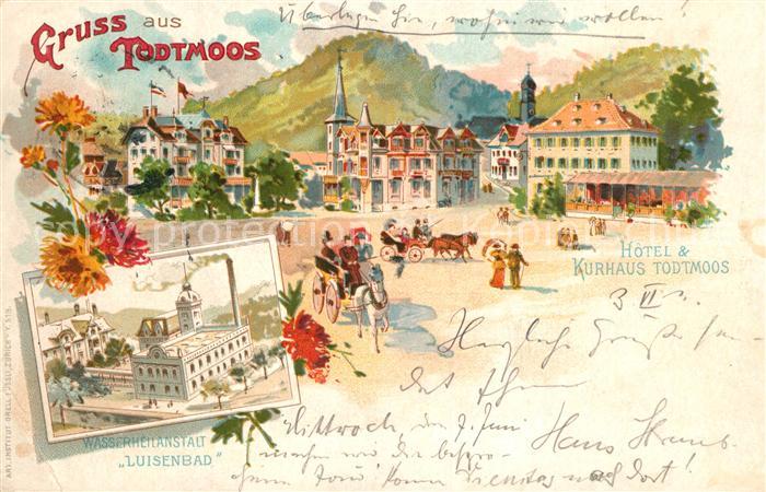 Todtmoos Hotel-Kurhaus Todtmoos Wasserheilanstalt Luisenbad Litho