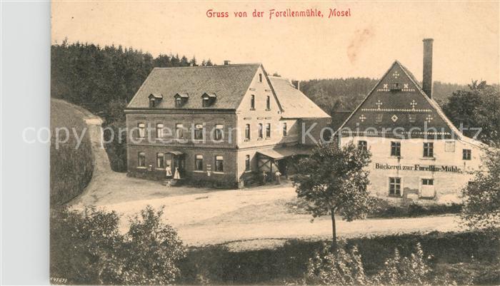 Mosel Zwickau Forellenmuehle